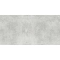 Eco Fantastic Light Grey Matt Rect. 59,8/119,8