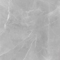 Gres Ambrosio Gris 59,7/59,7