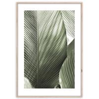 Obraz Artbox Digi 50x70 Br002 Macro
