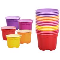 Sadbový kvetináč color duo d:9 cm, 15 ks
